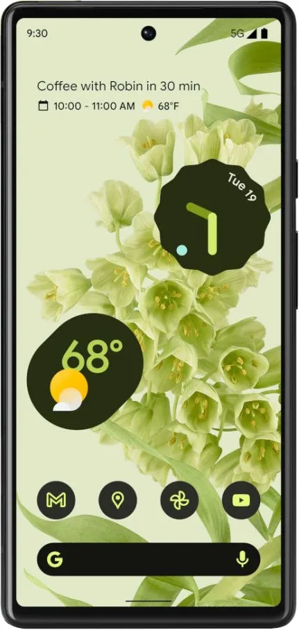 Pixel 6 thumbnail