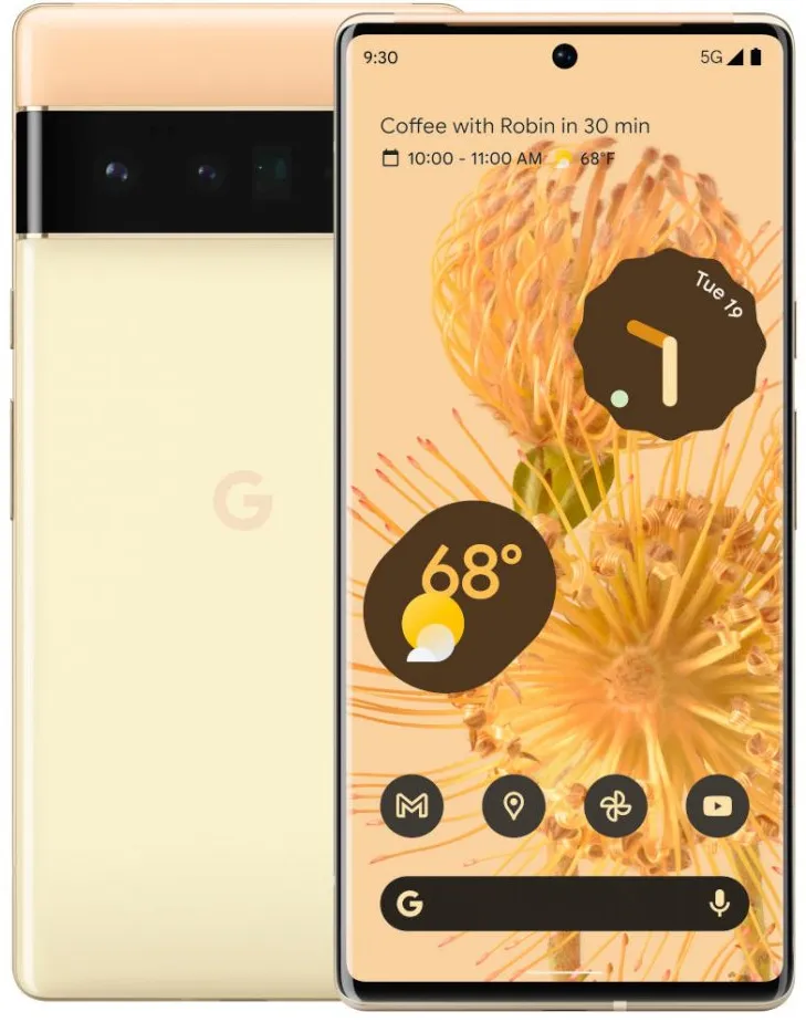 Pixel 6 Pro