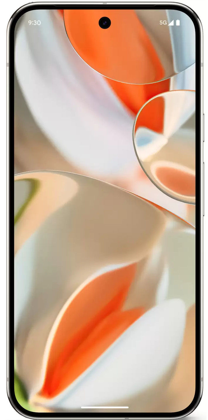 Pixel 9 Pro XL - View 8